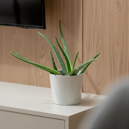 Modena Διαμέρισμα