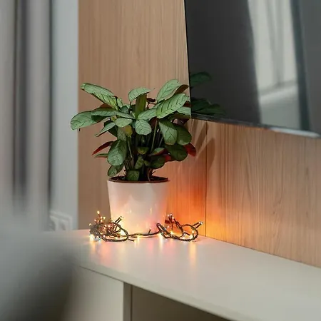 Modena Apartment *