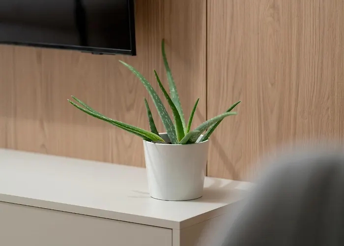 Modena Апартаменти